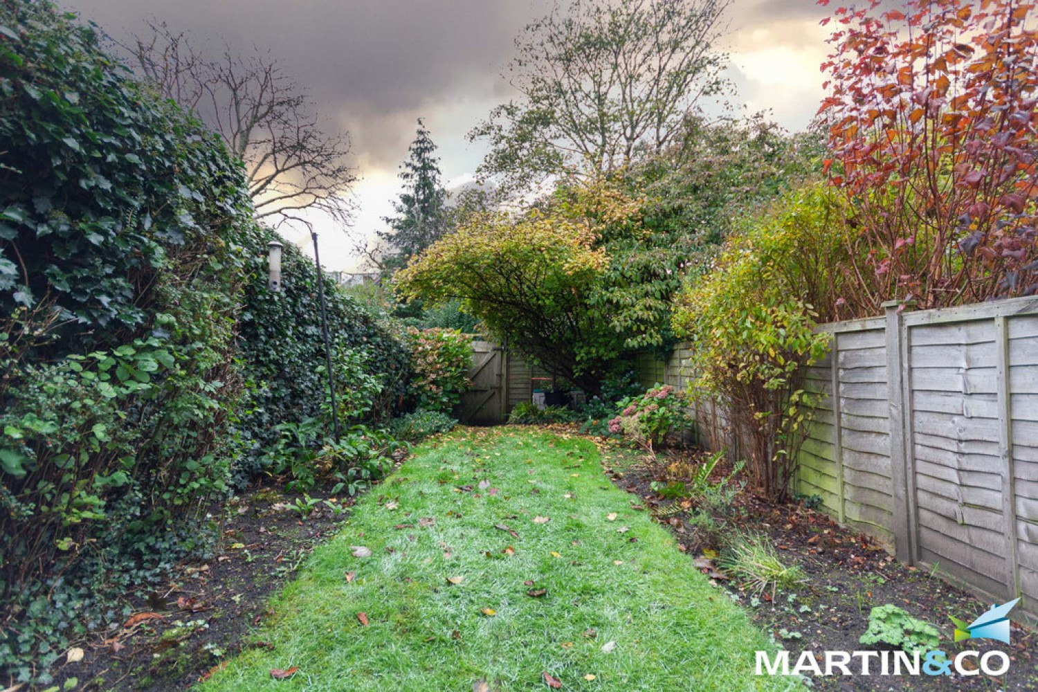 York Street, Harborne, B17