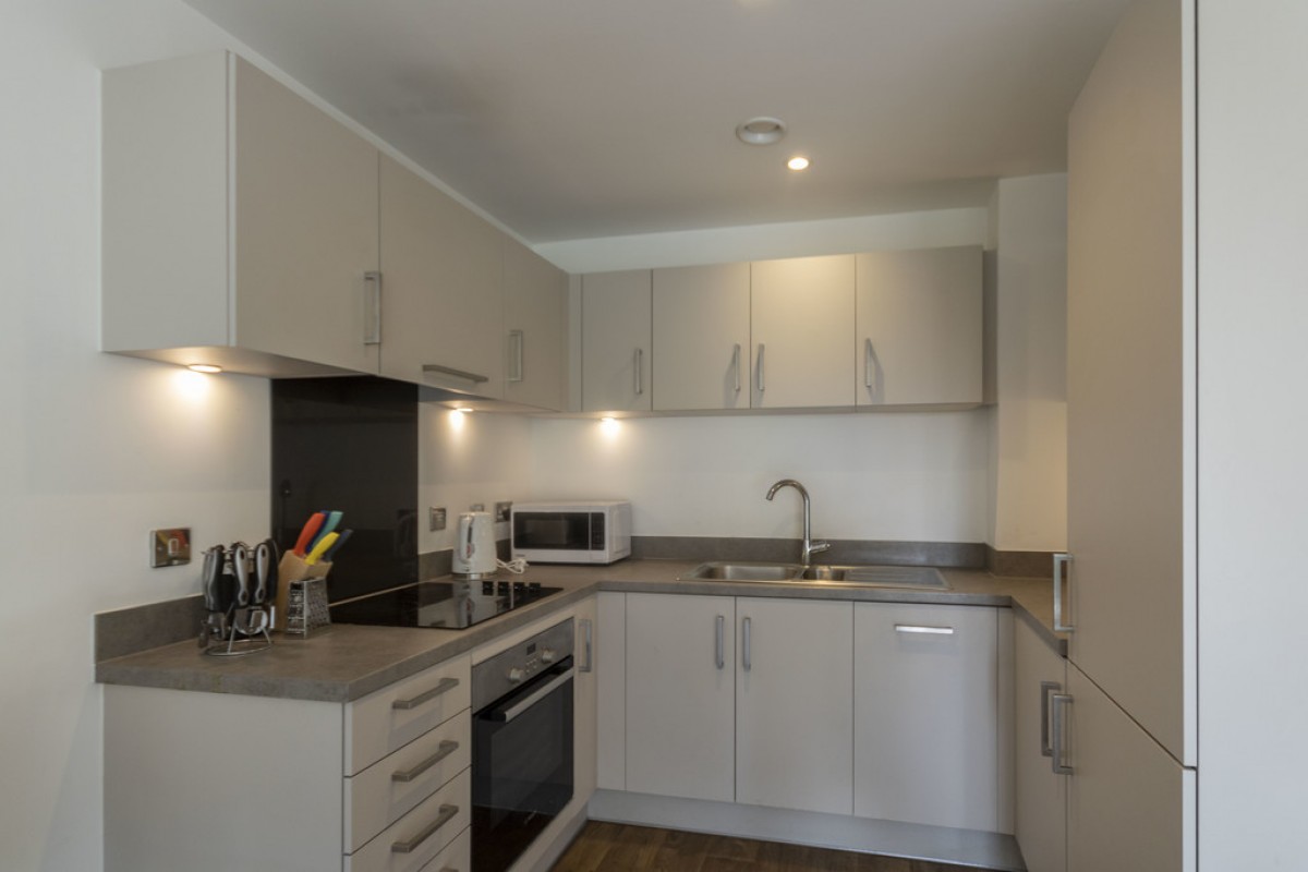 Hamilton Apartments, Spring Street, Birmingham, B15