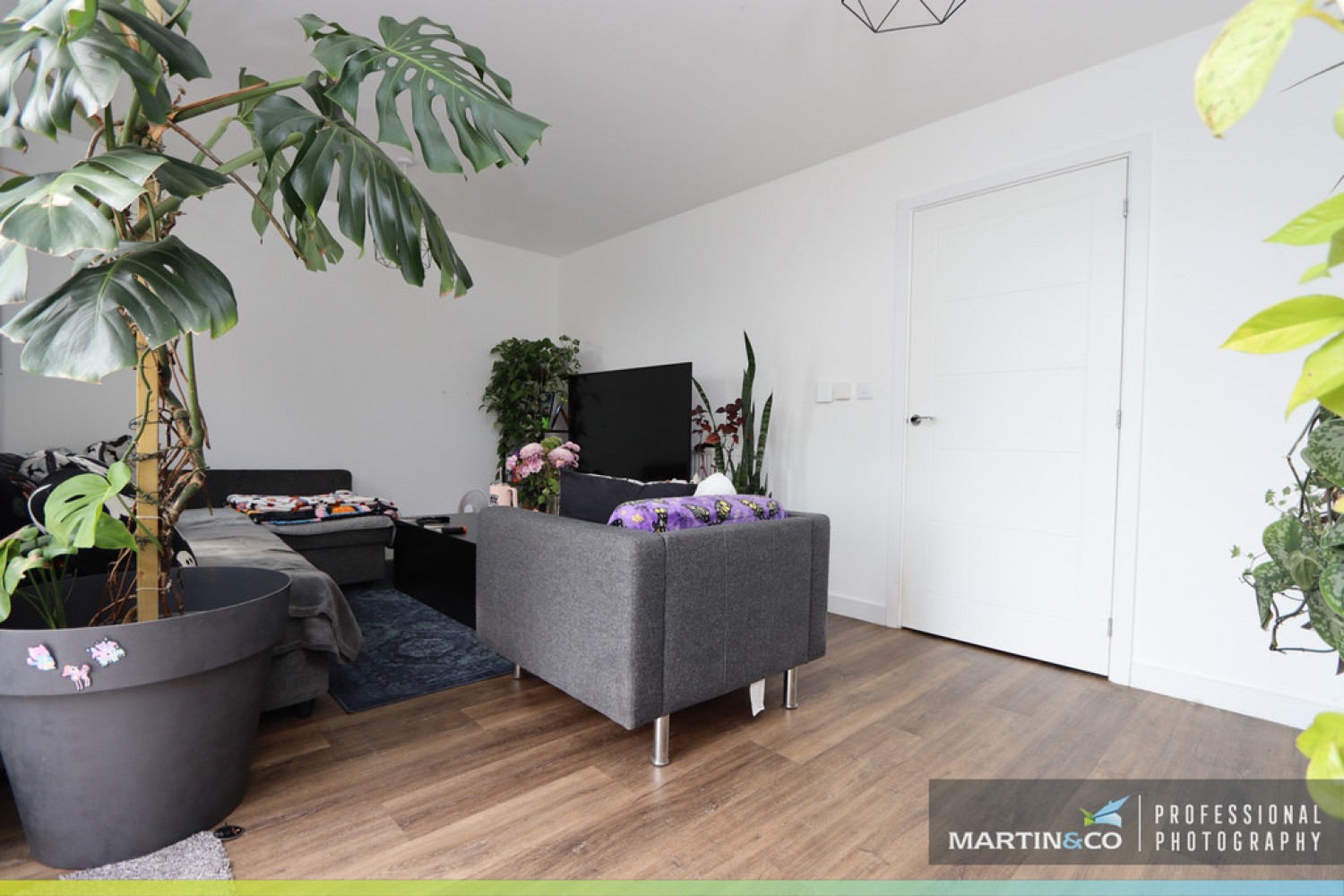 Maes Yr Ysgol, Aspen Grove