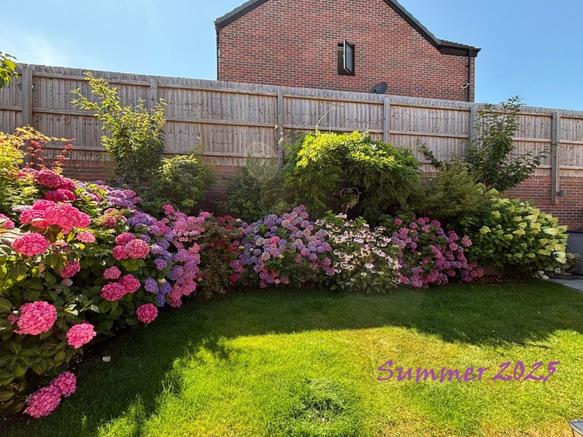 Lewis Crescent, St Edeyrns