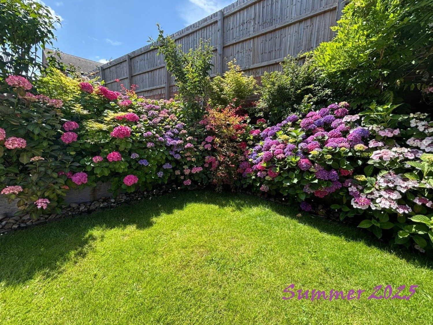 Lewis Crescent, St Edeyrns