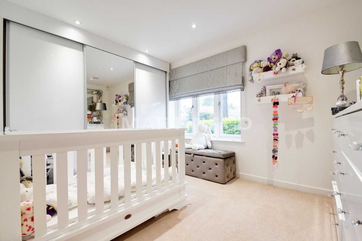 Treetops, High Cedars