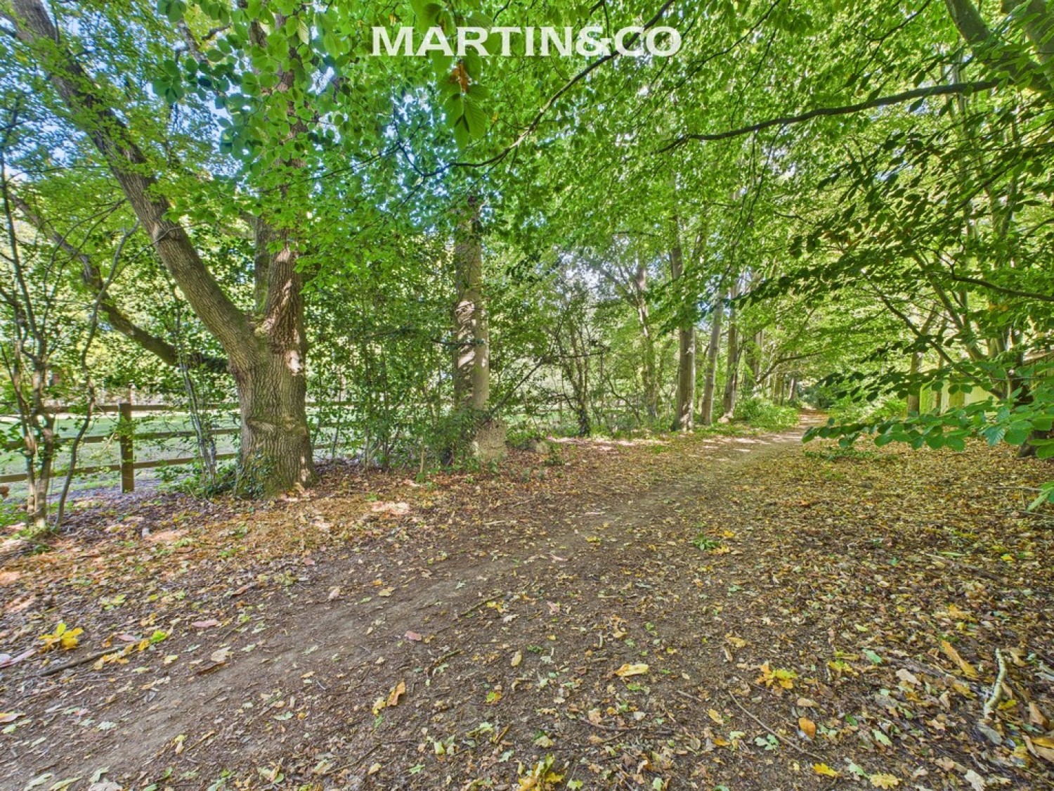Queens Hill, Ascot