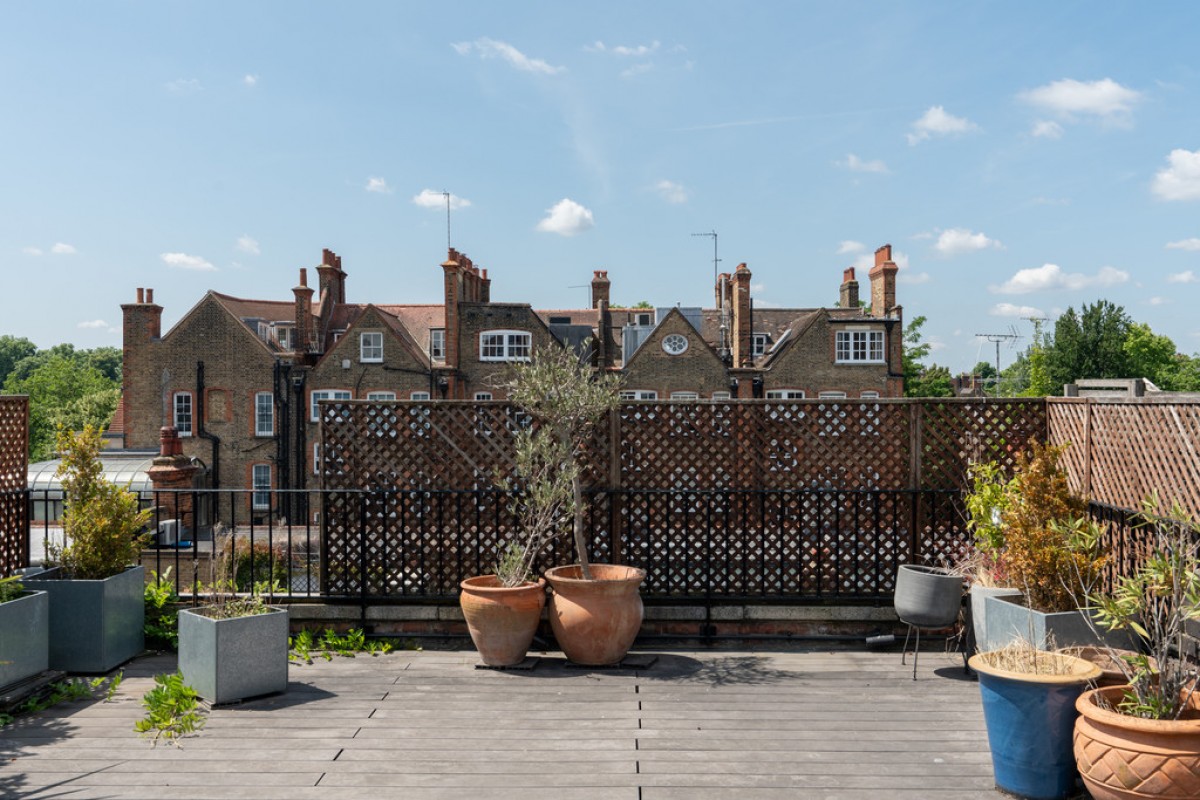 Paradise Walk, Chelsea