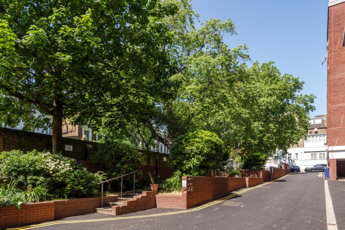 Edith Terrace, Chelsea