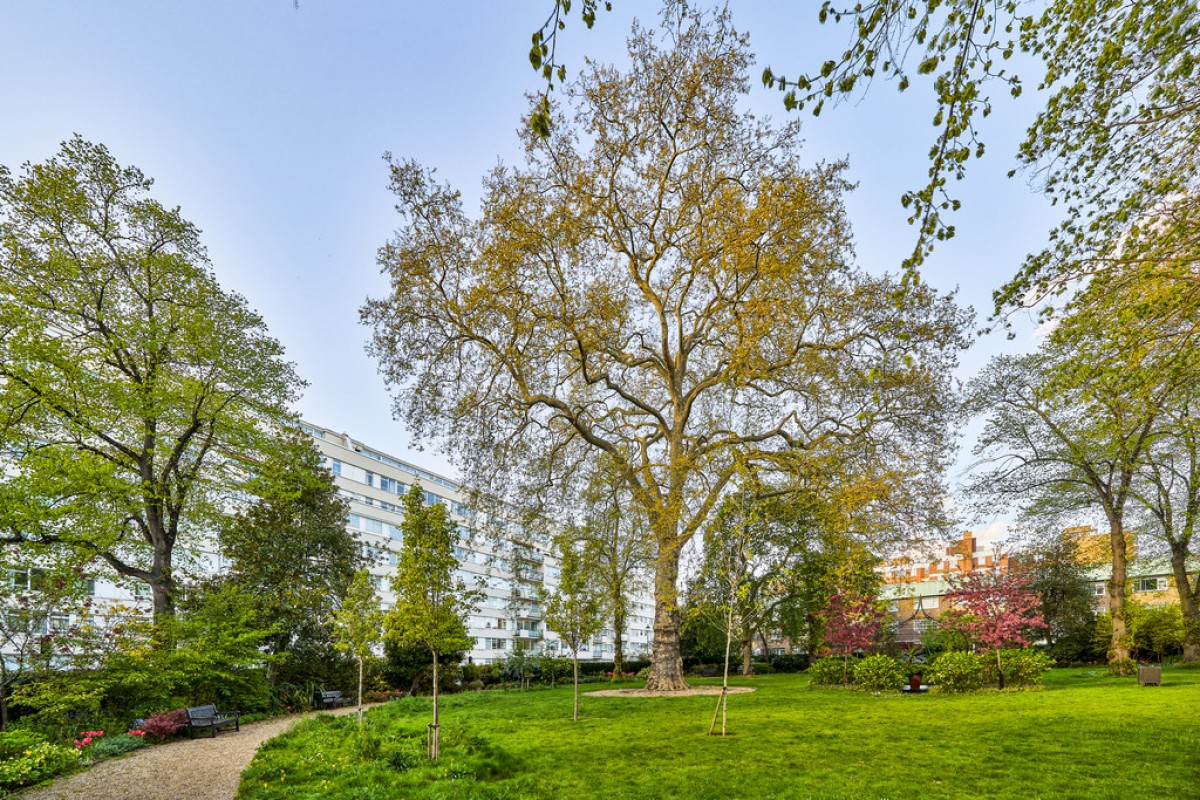 Sussex Square, Notting Hill