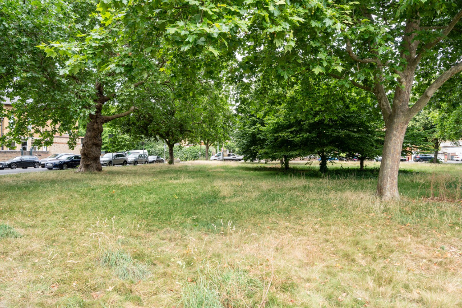 Spencer Park, Wandsworth