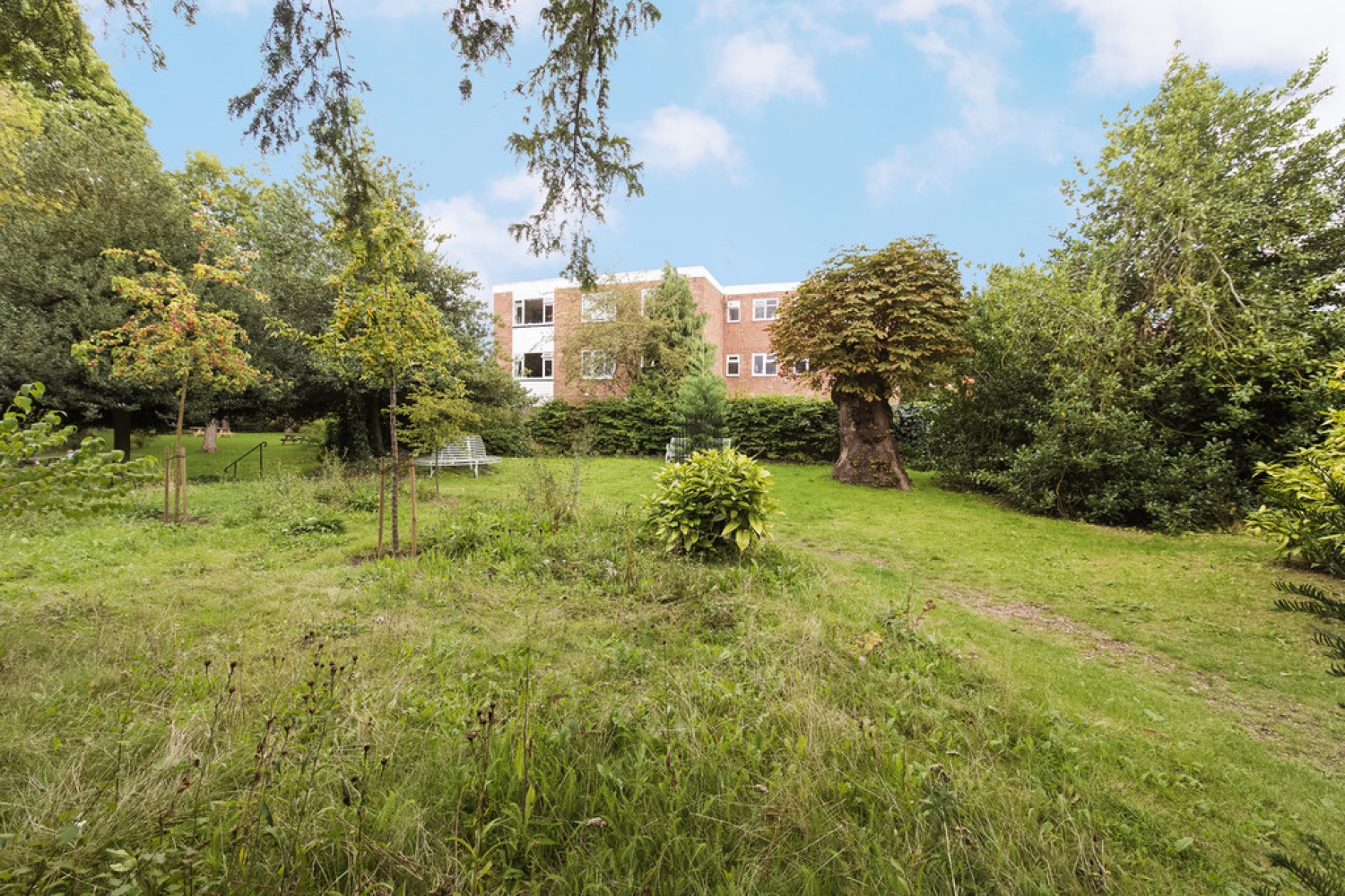 Fauconberg Road, Chiswick