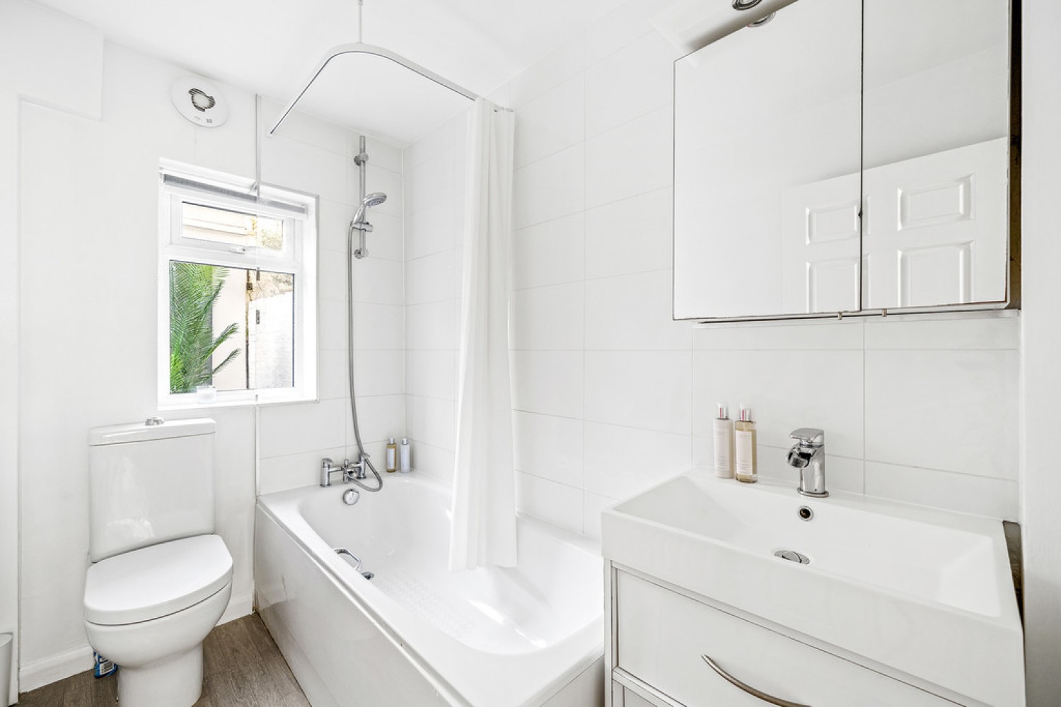 Gunter Grove, Chelsea