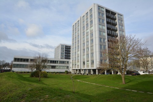 Walton On Thames