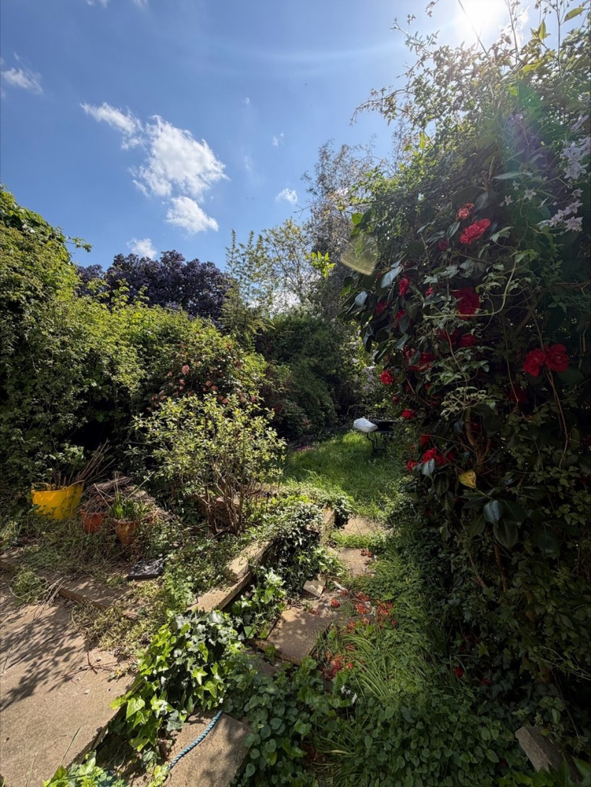 Cardozo Road, Islington