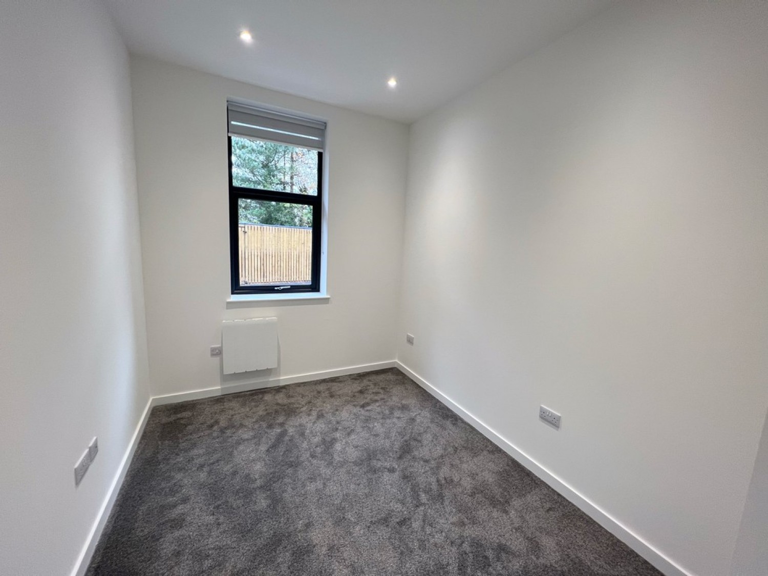 Ashwood Park, Ashwood Way