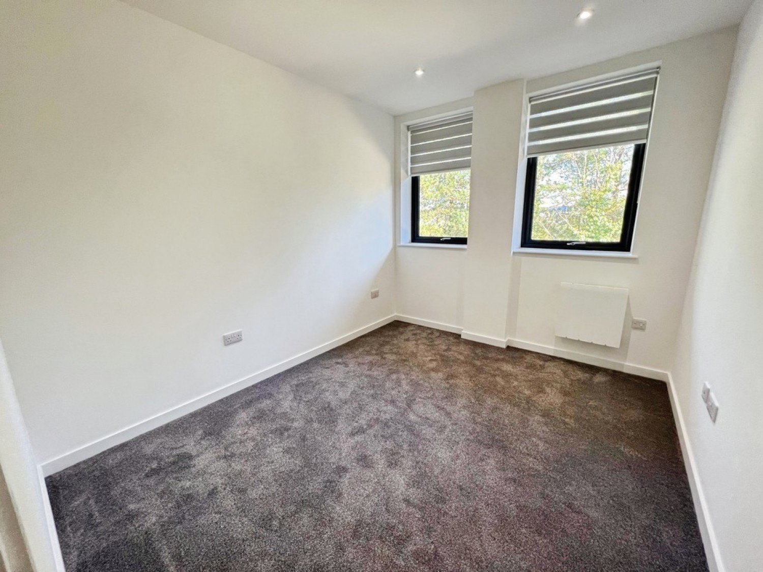 Ashwood Park, Ashwood Way