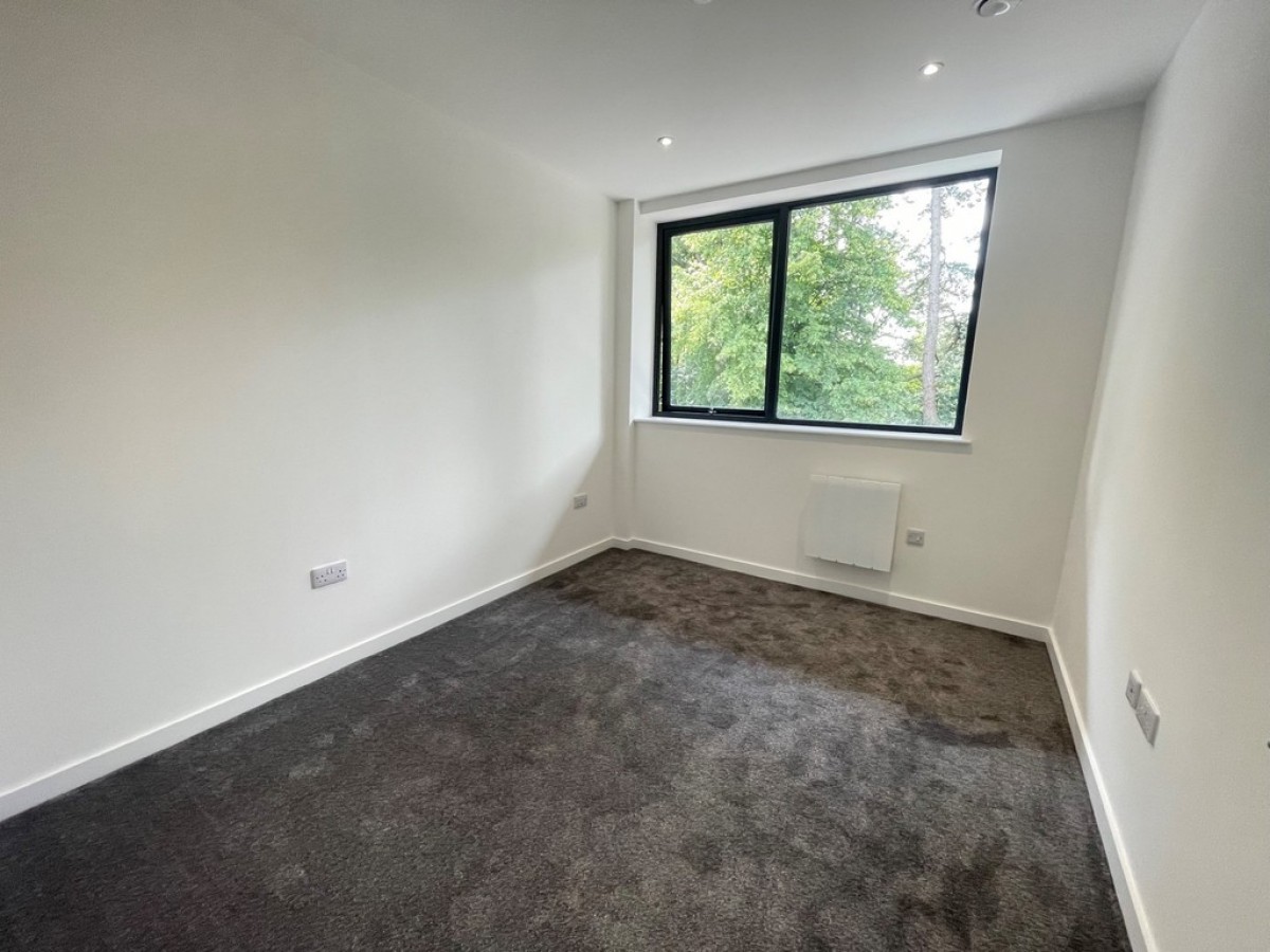 Ashwood Park, Ashwood Way