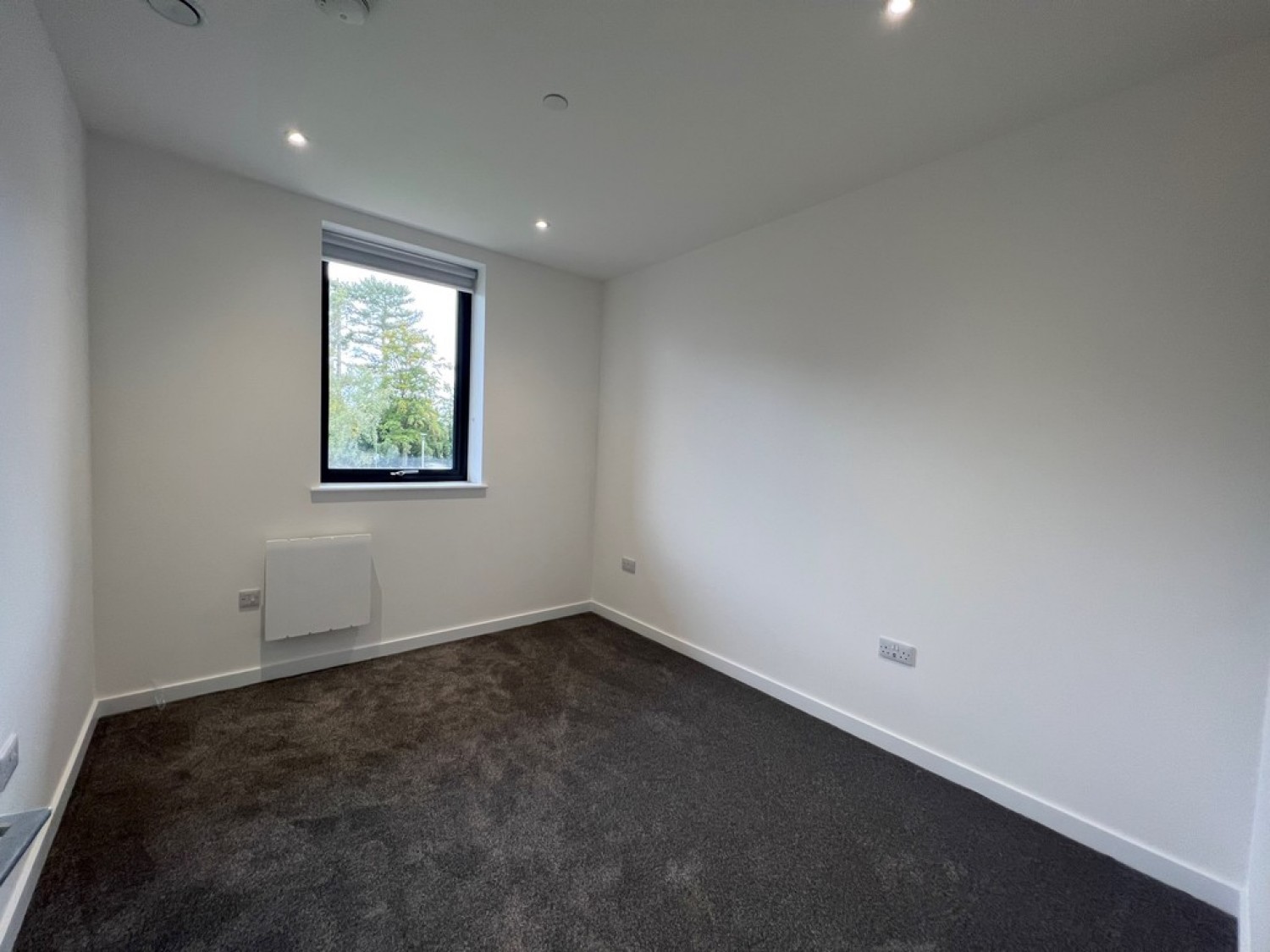 1 bedroom Flat for Letting Springfield House, Ashwood Park