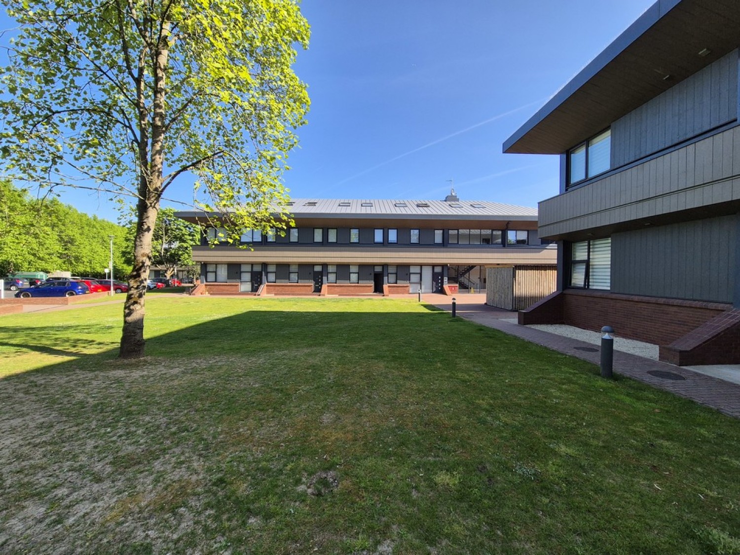 1 bedroom Flat for Letting Springfield House, Ashwood Park