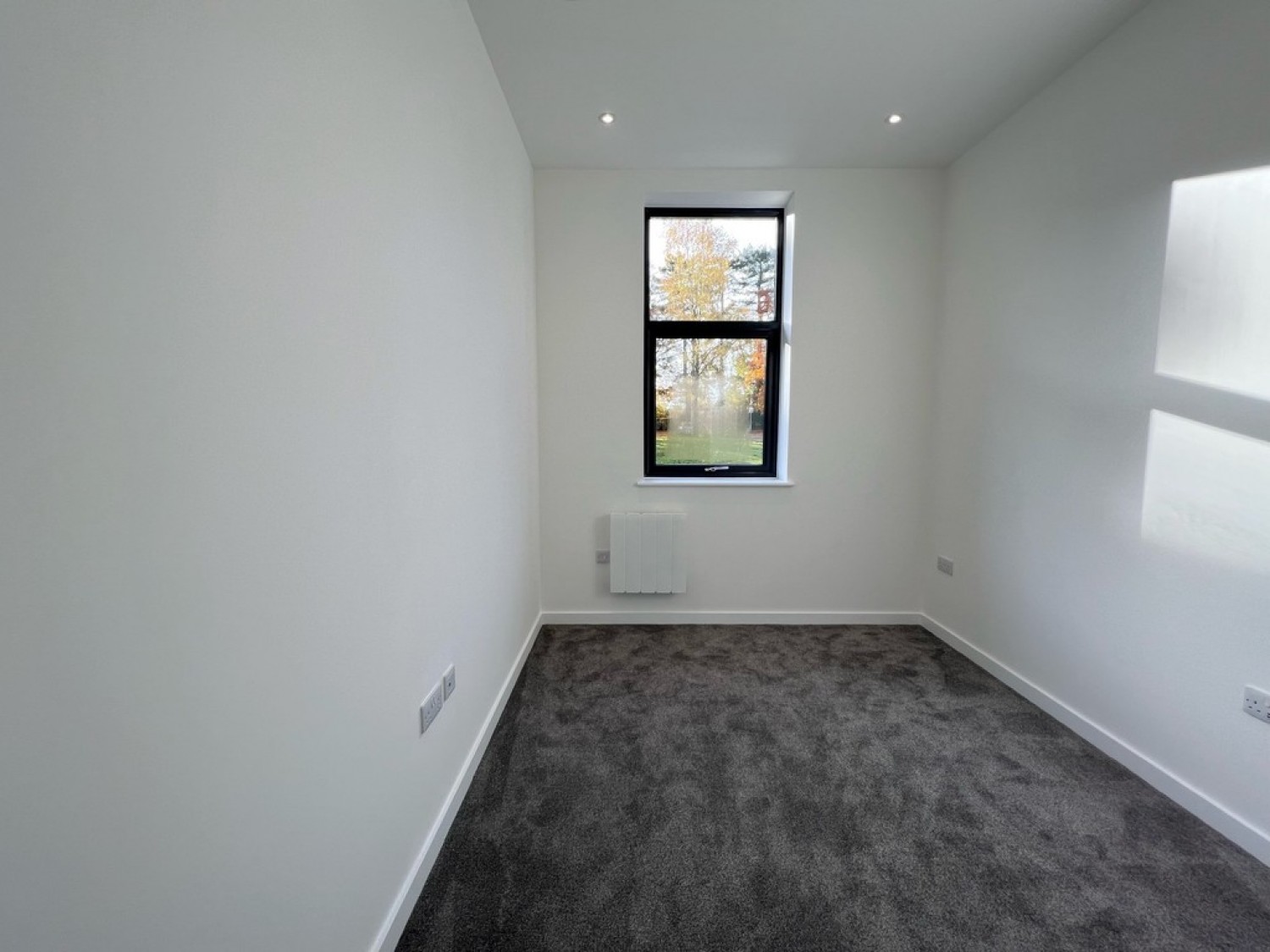 Ashwood Park, Ashwood Way