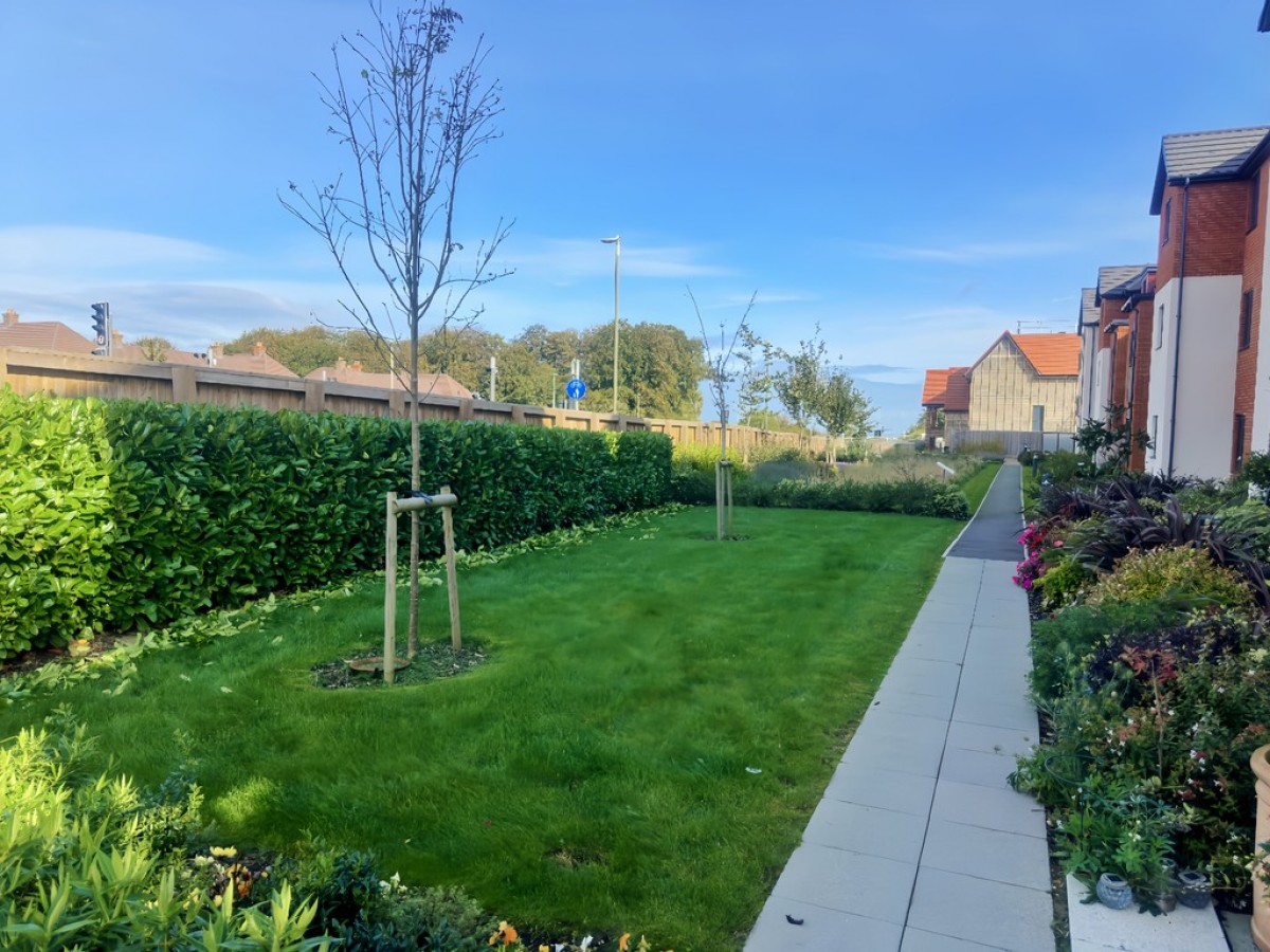 Shortwood Copse Lane