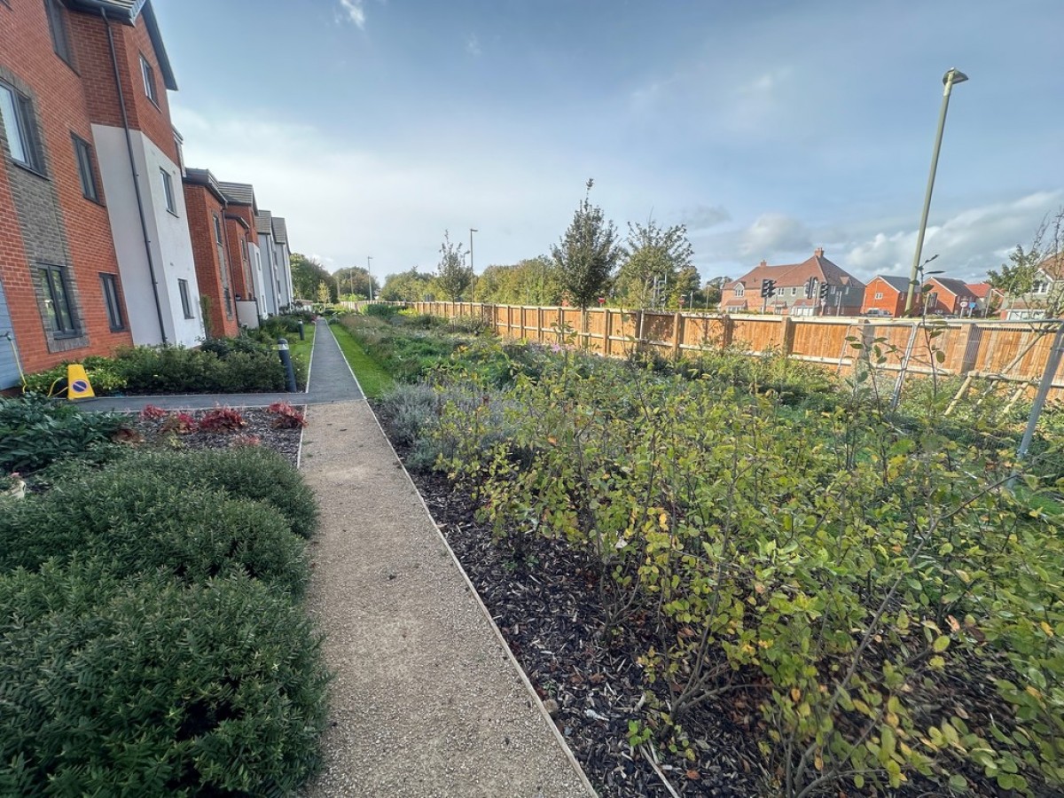 Shortwood Copse Lane