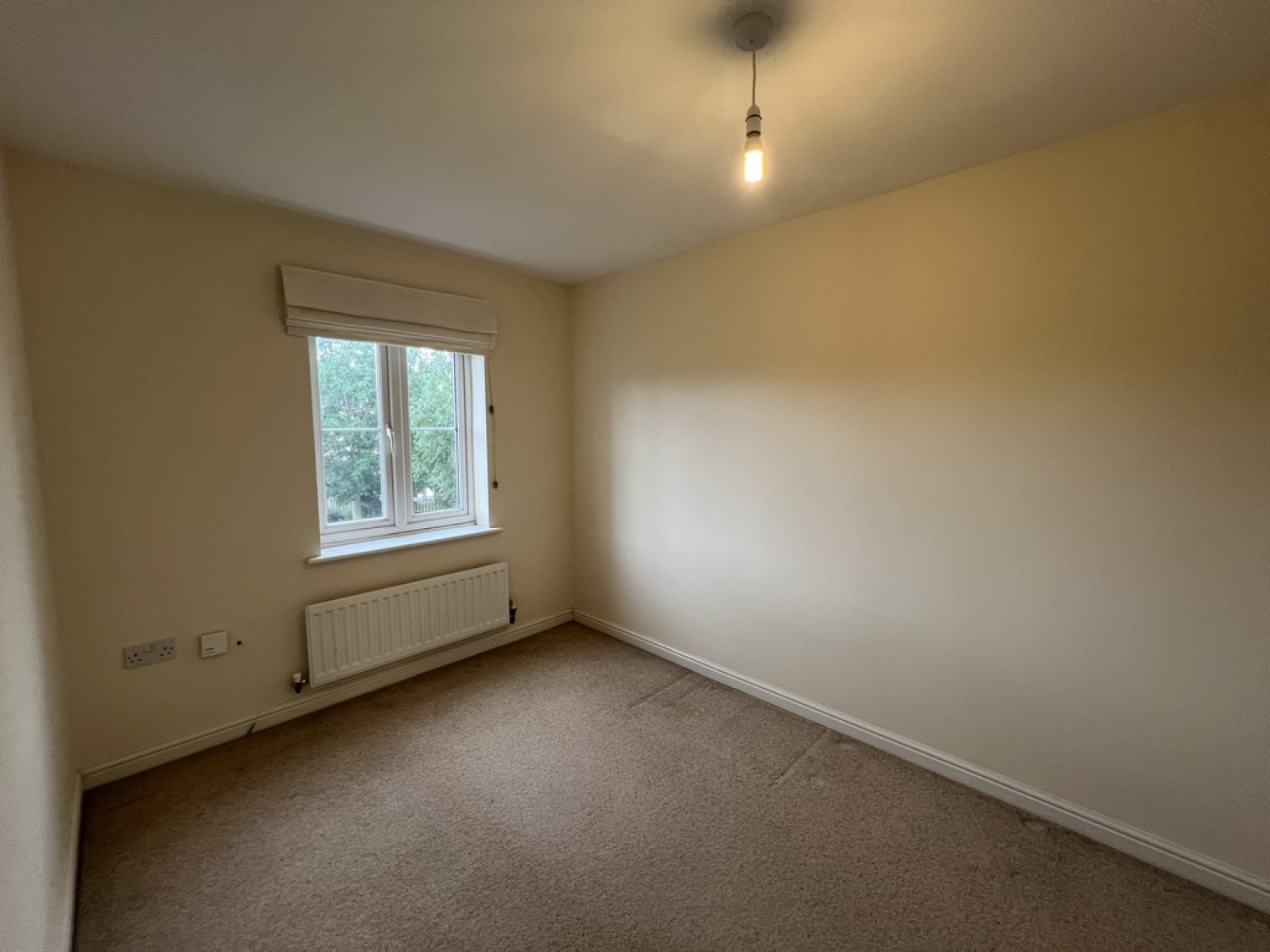 3 bedroom House for Letting The Marish, Chase Meadow