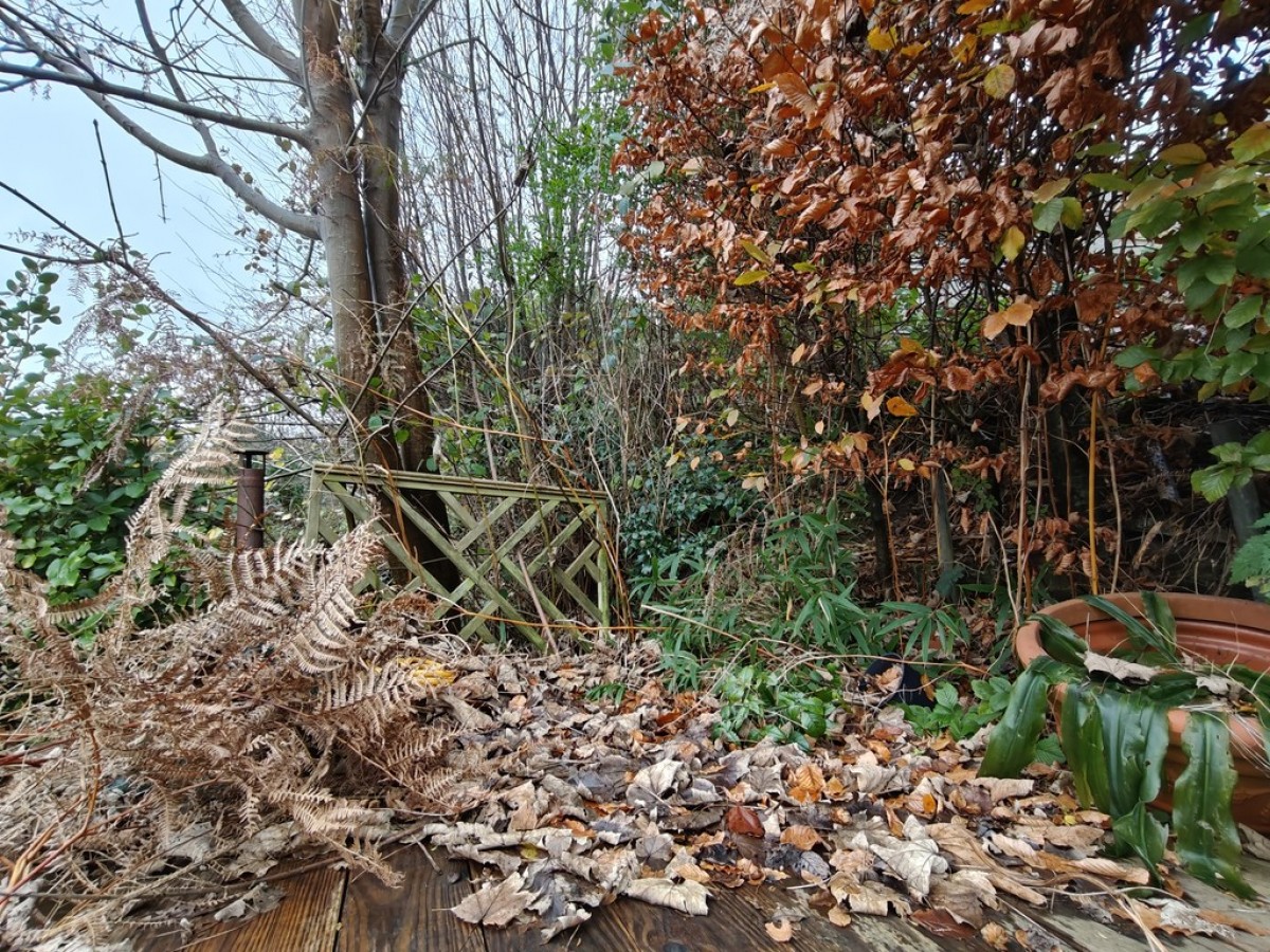Underhill Cottages, Maresfield