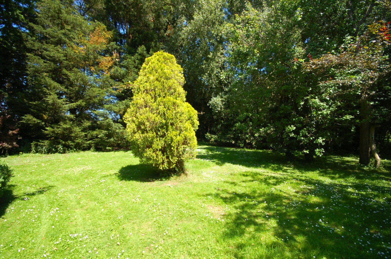 Clayhill, Ringmer