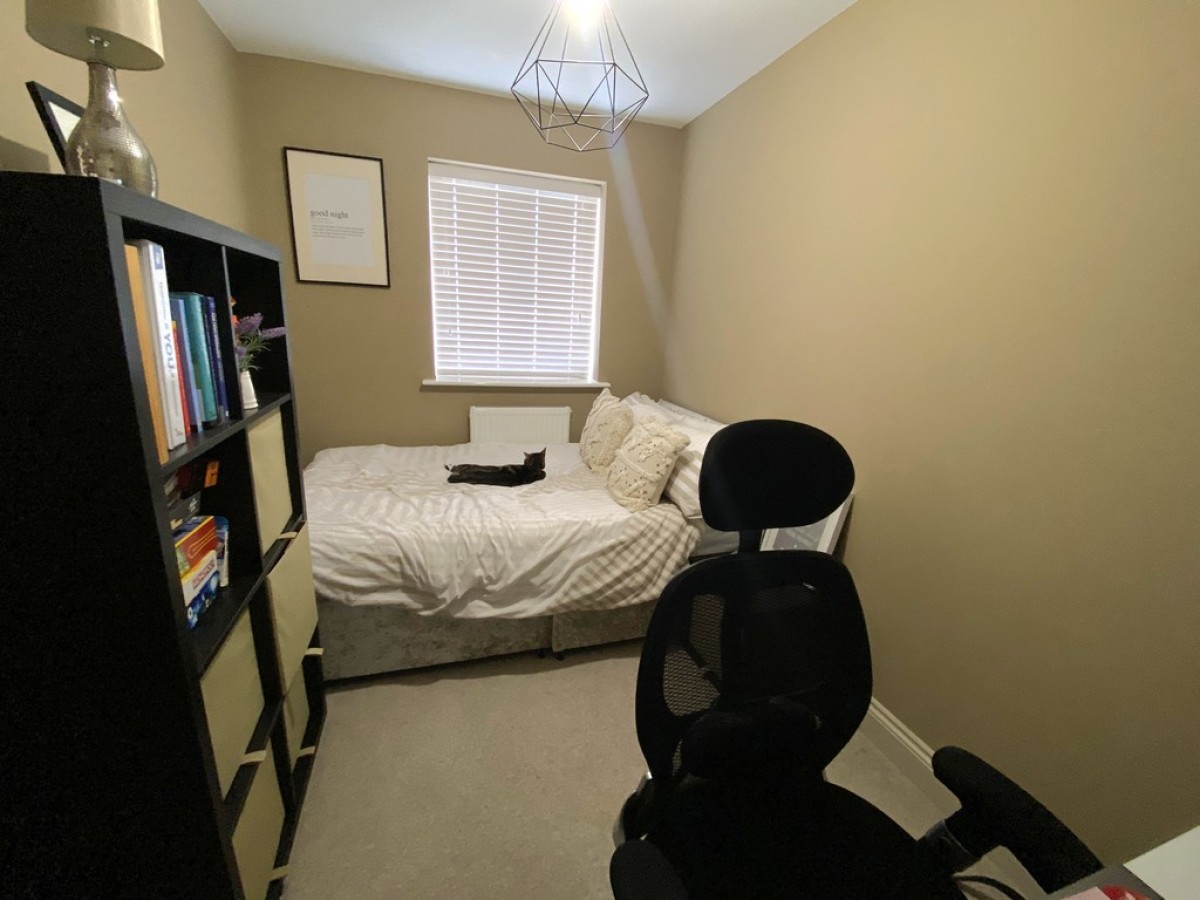 Alexander Mews , Balderton