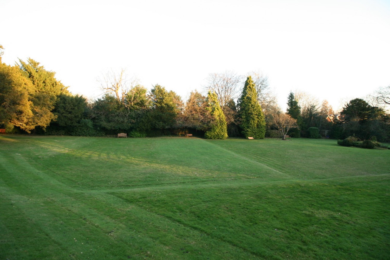Merrywood Park, Reigate