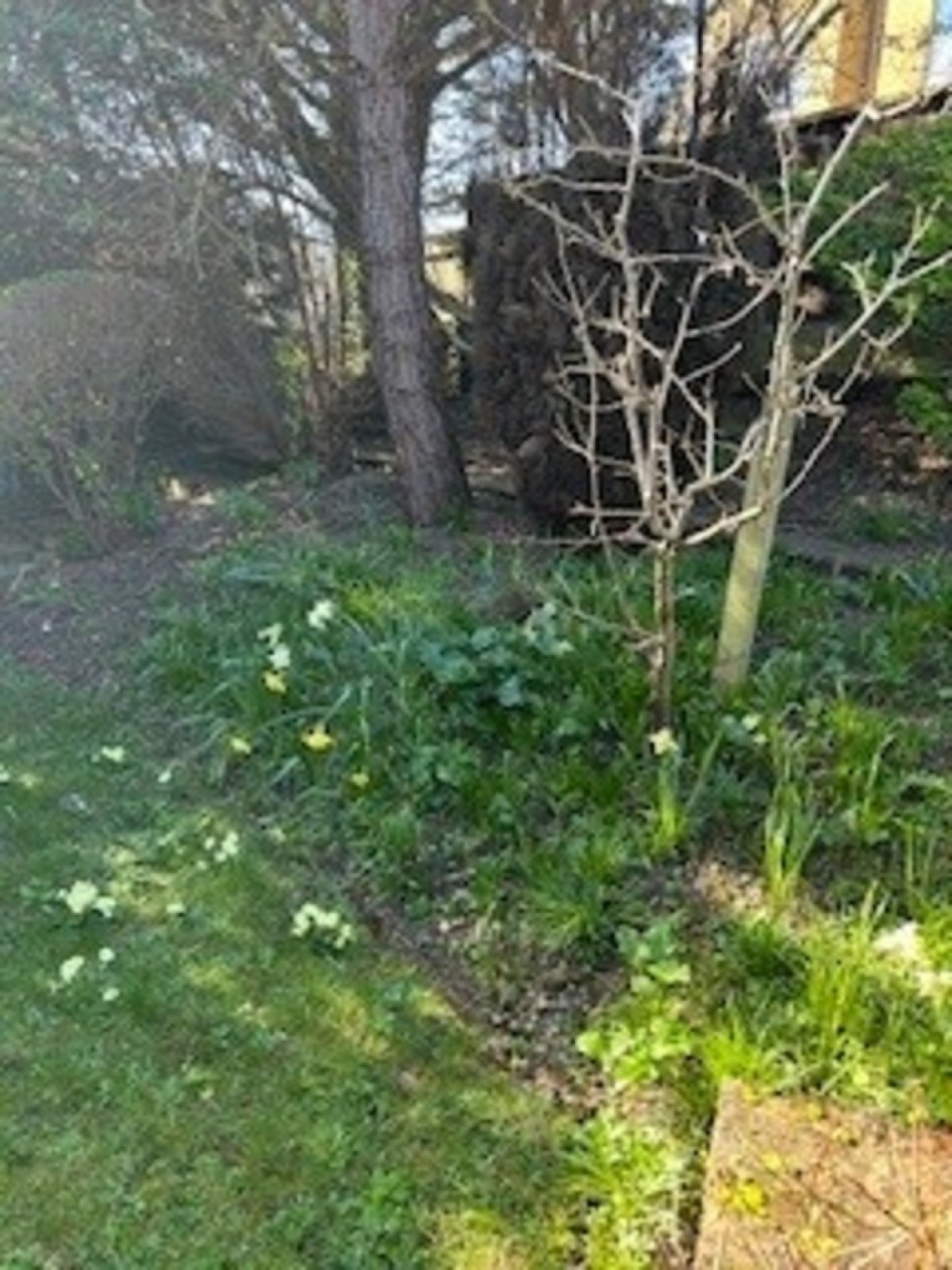 Godstone Road, Caterham