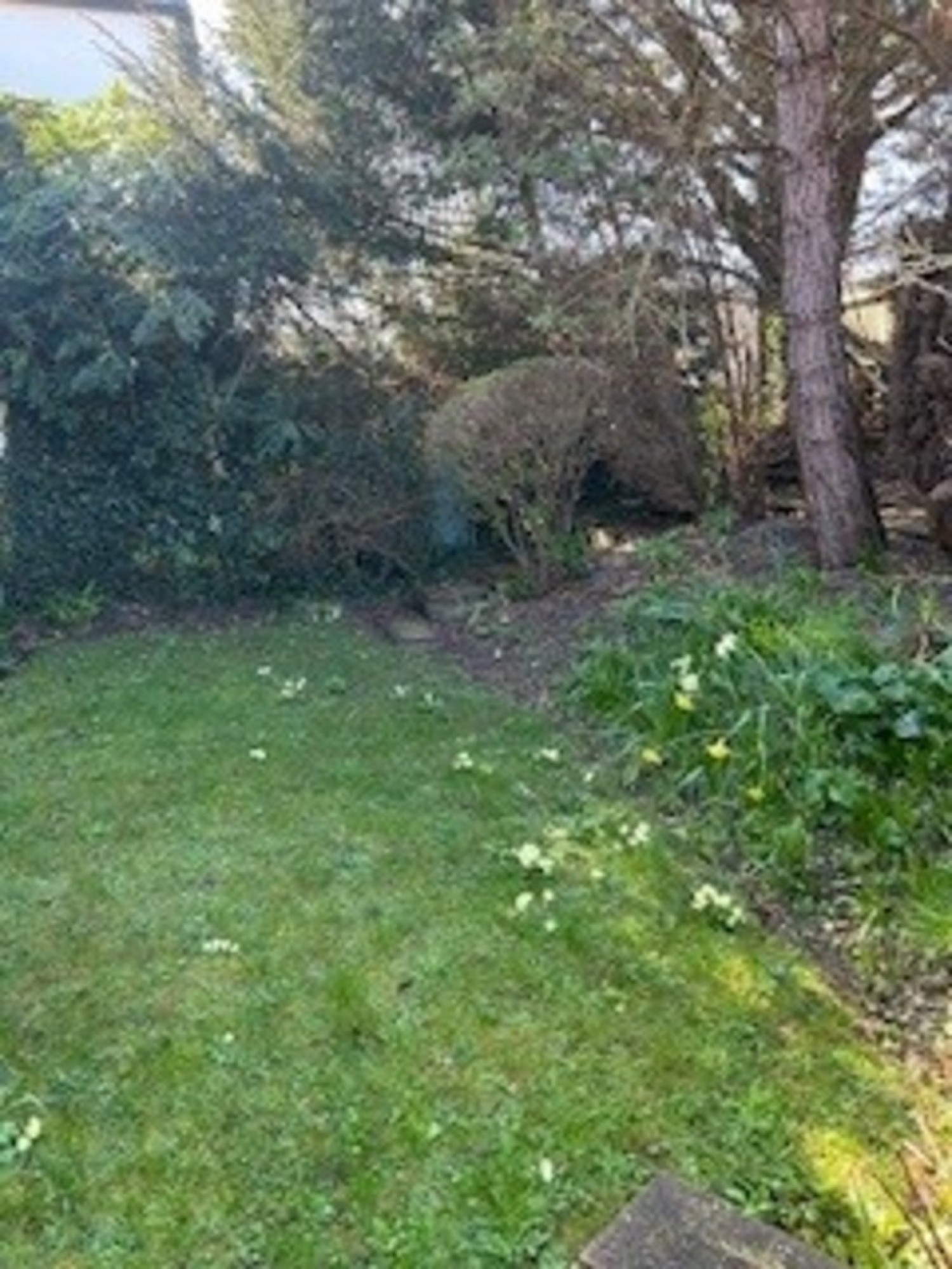 2 bedroom Flat for Sale Godstone Road, Caterham