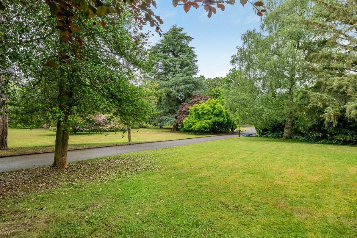 Holmesdale Park, Coopers Hill Road