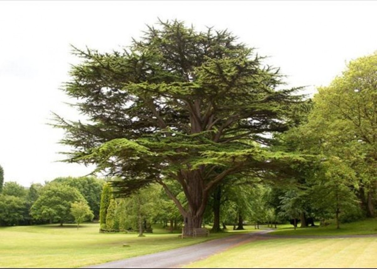 Quernmore Park Hall, Lancaster