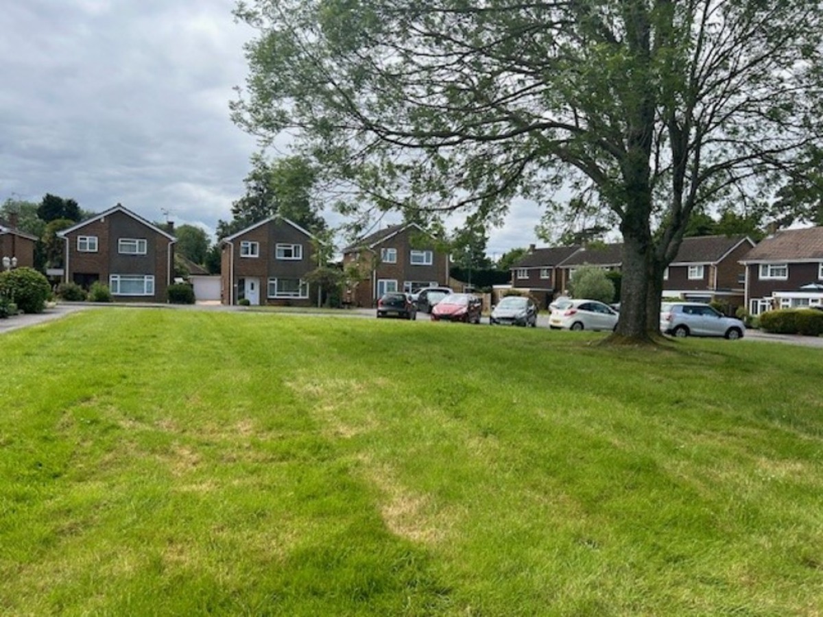 Sycamore Avenue, Horsham