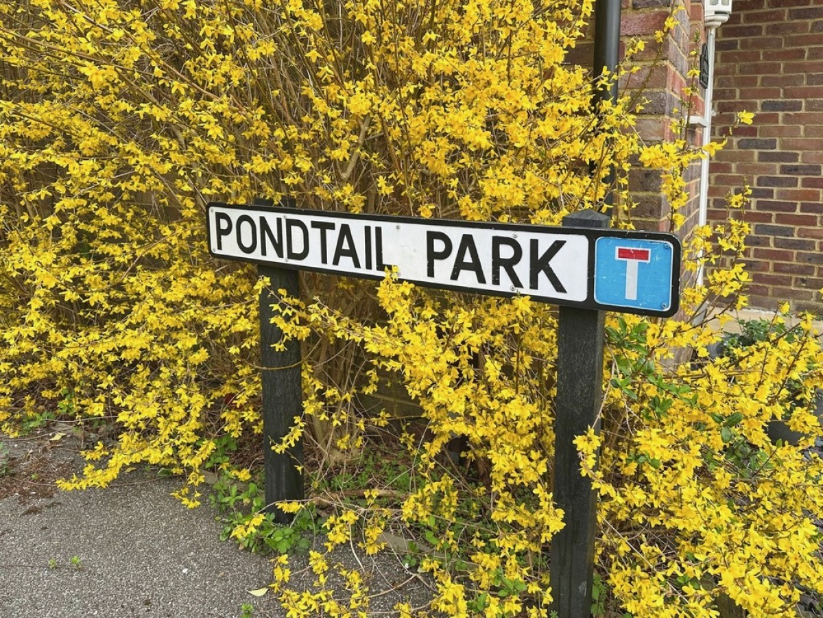 Pondtail Park , Horsham