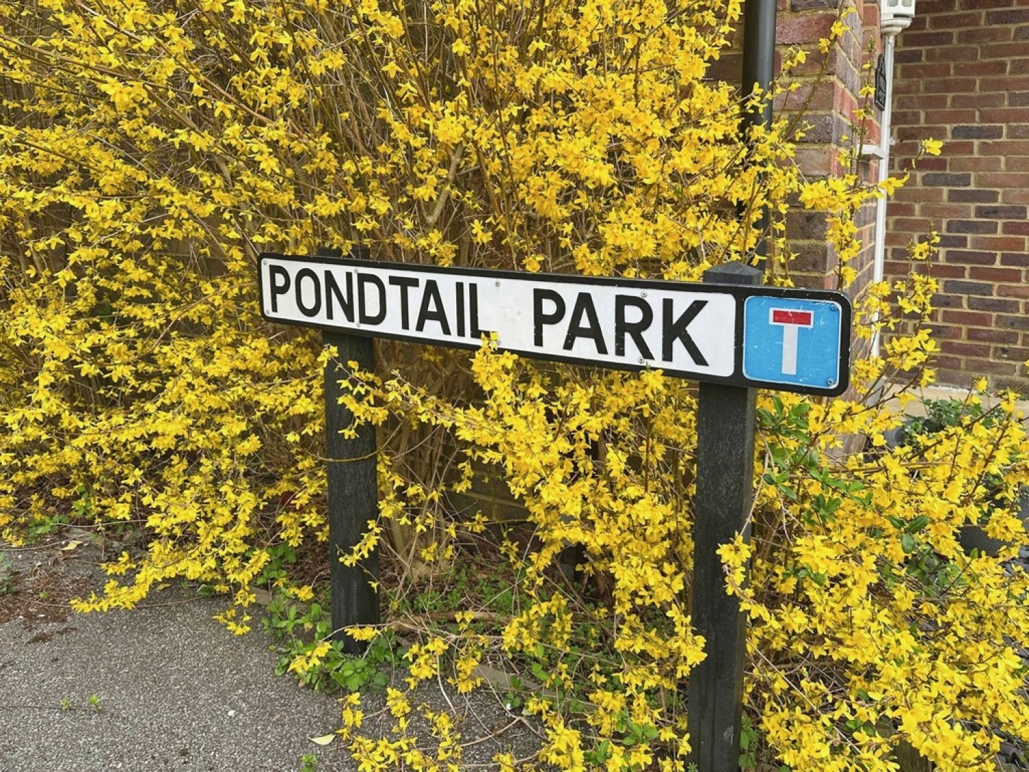 Pondtail Park , Horsham