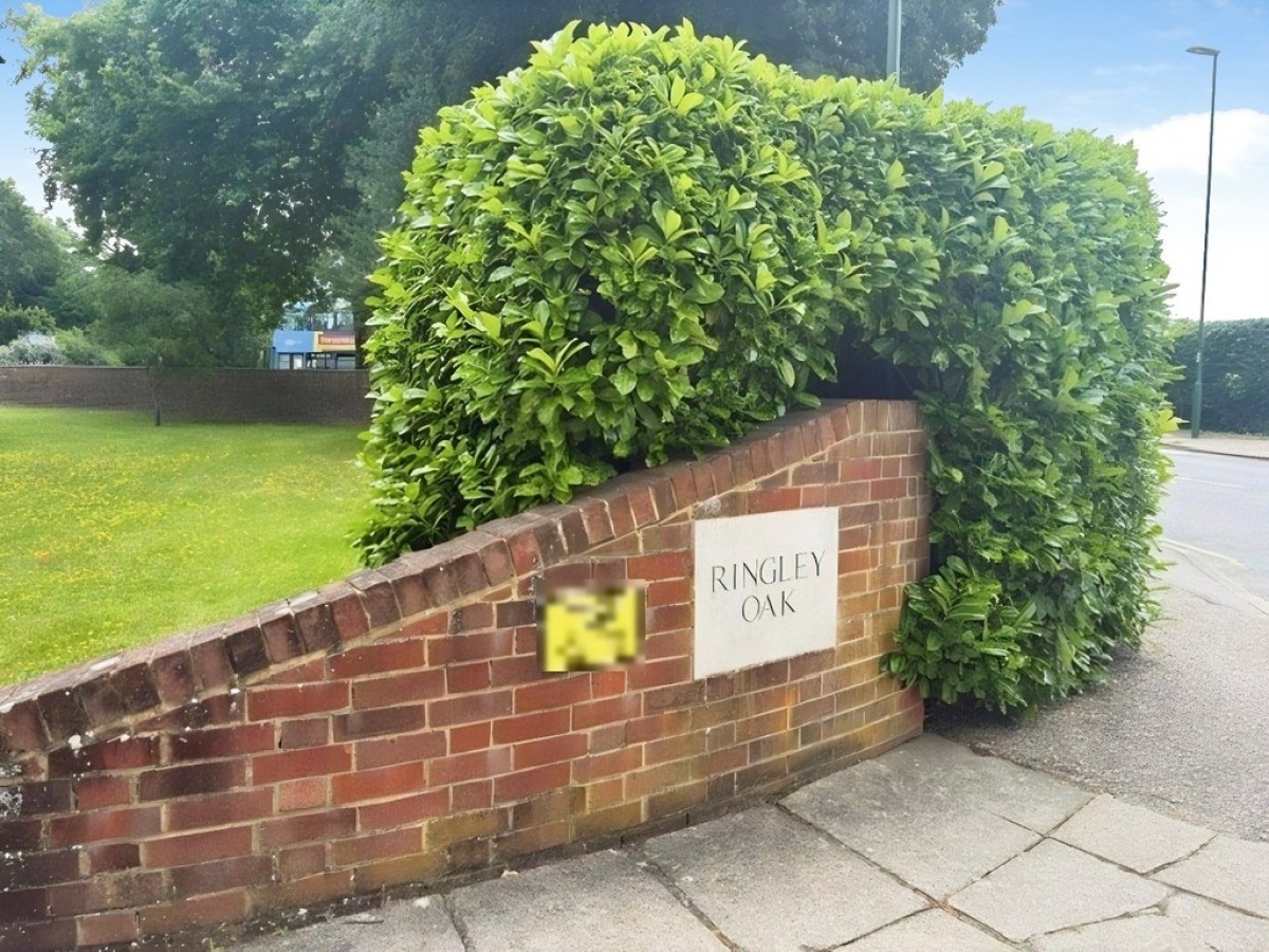 Ringley Oak, Horsham