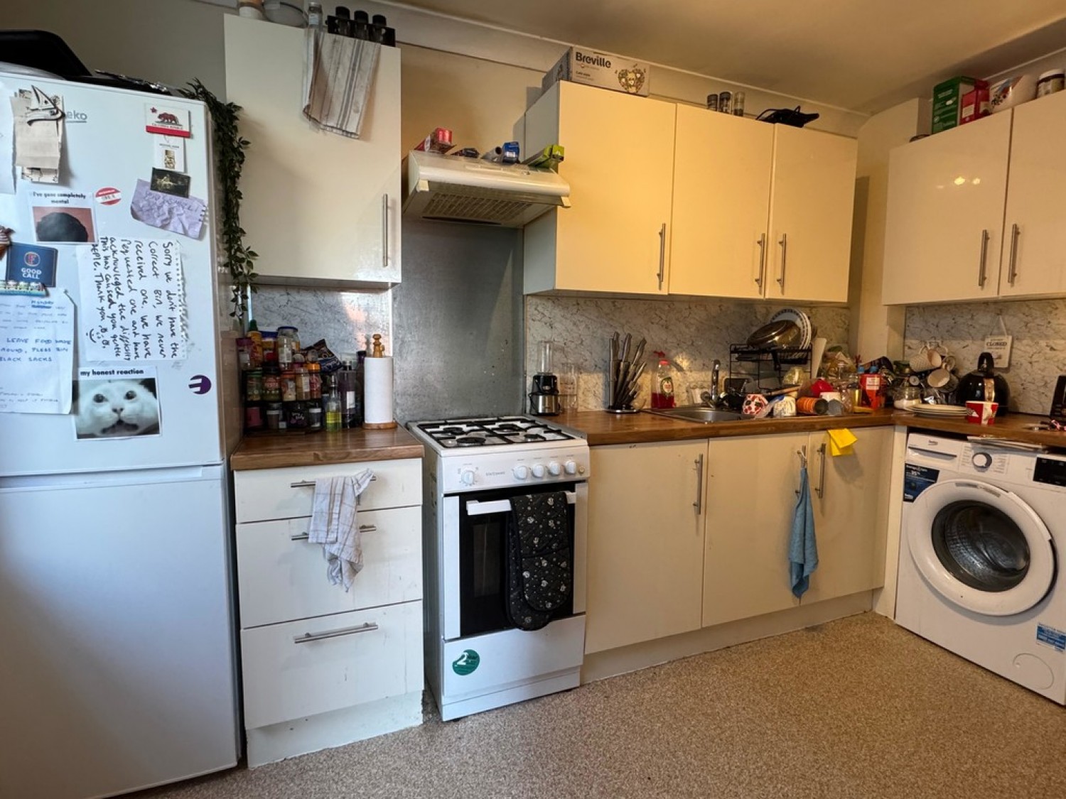 6 bedroom House of Multiple Occupation in Lister Hill, Falmouth