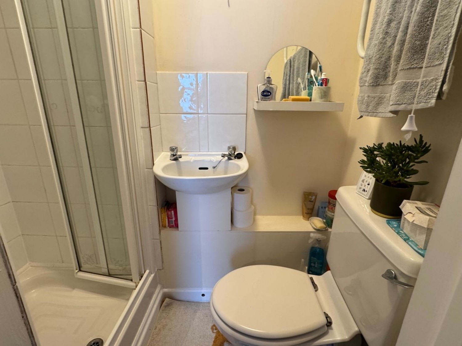 6 bedroom House of Multiple Occupation in Lister Hill, Falmouth