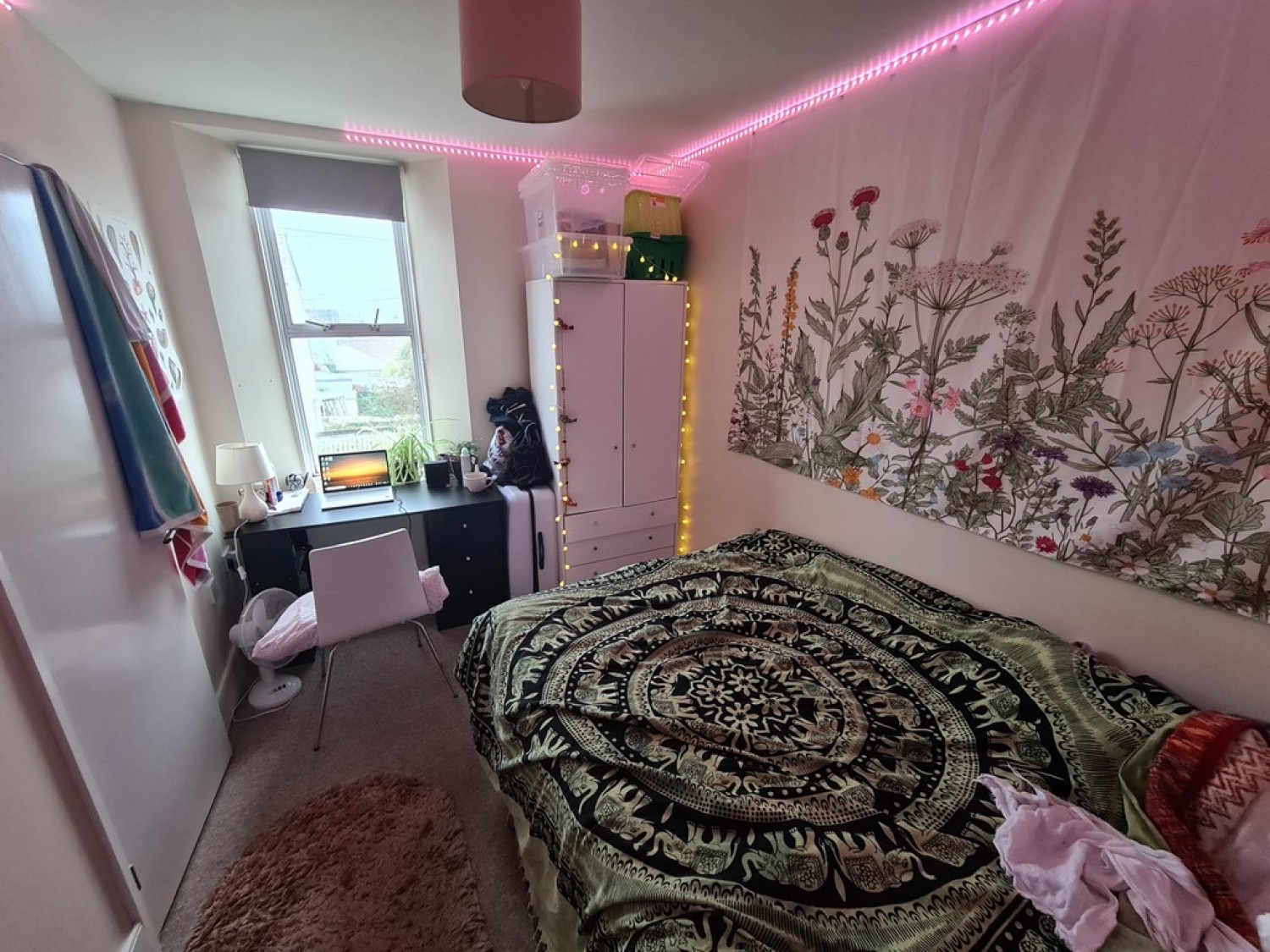 6 bedroom House for Letting Albany Road, Falmouth