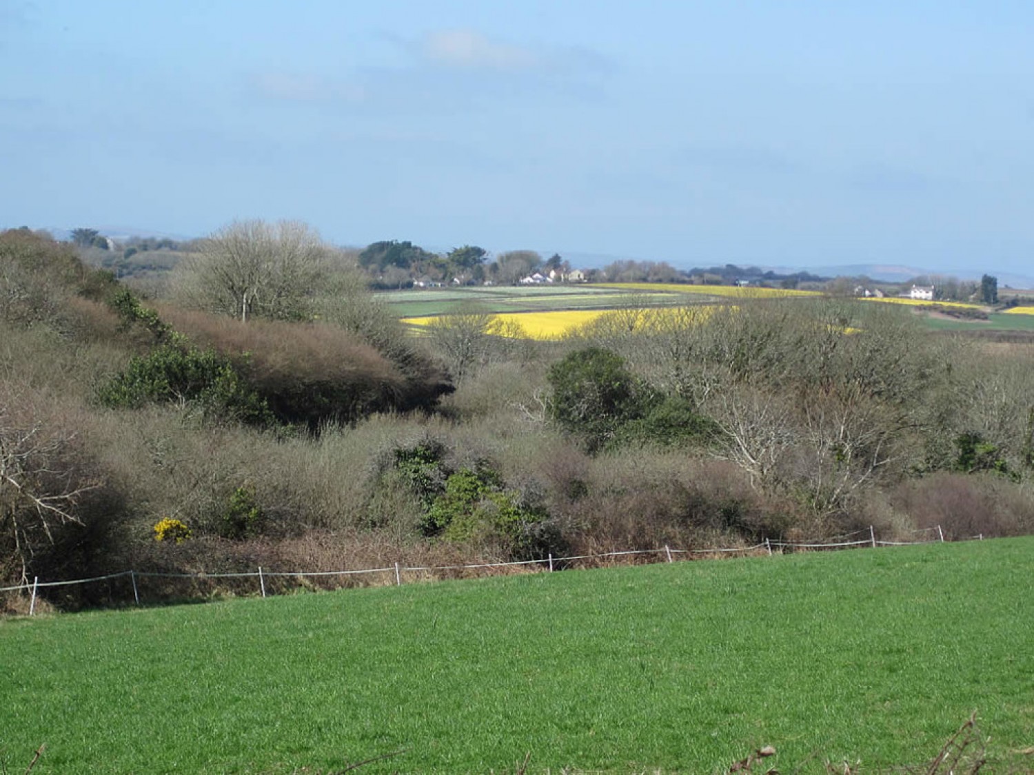 Little Pengelly Farm, Leedstown