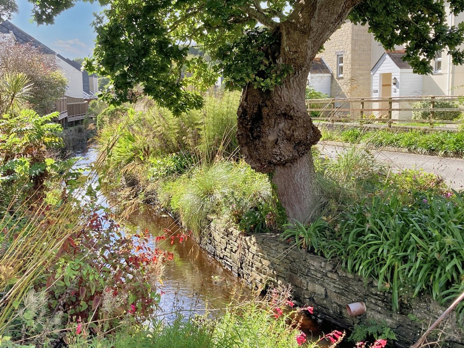 2 bedroom House for Sale Pendra Loweth, Goldenbank