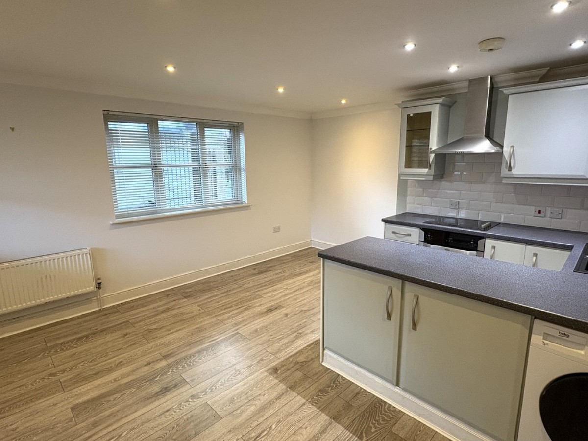 The Walled Garden, Penryn