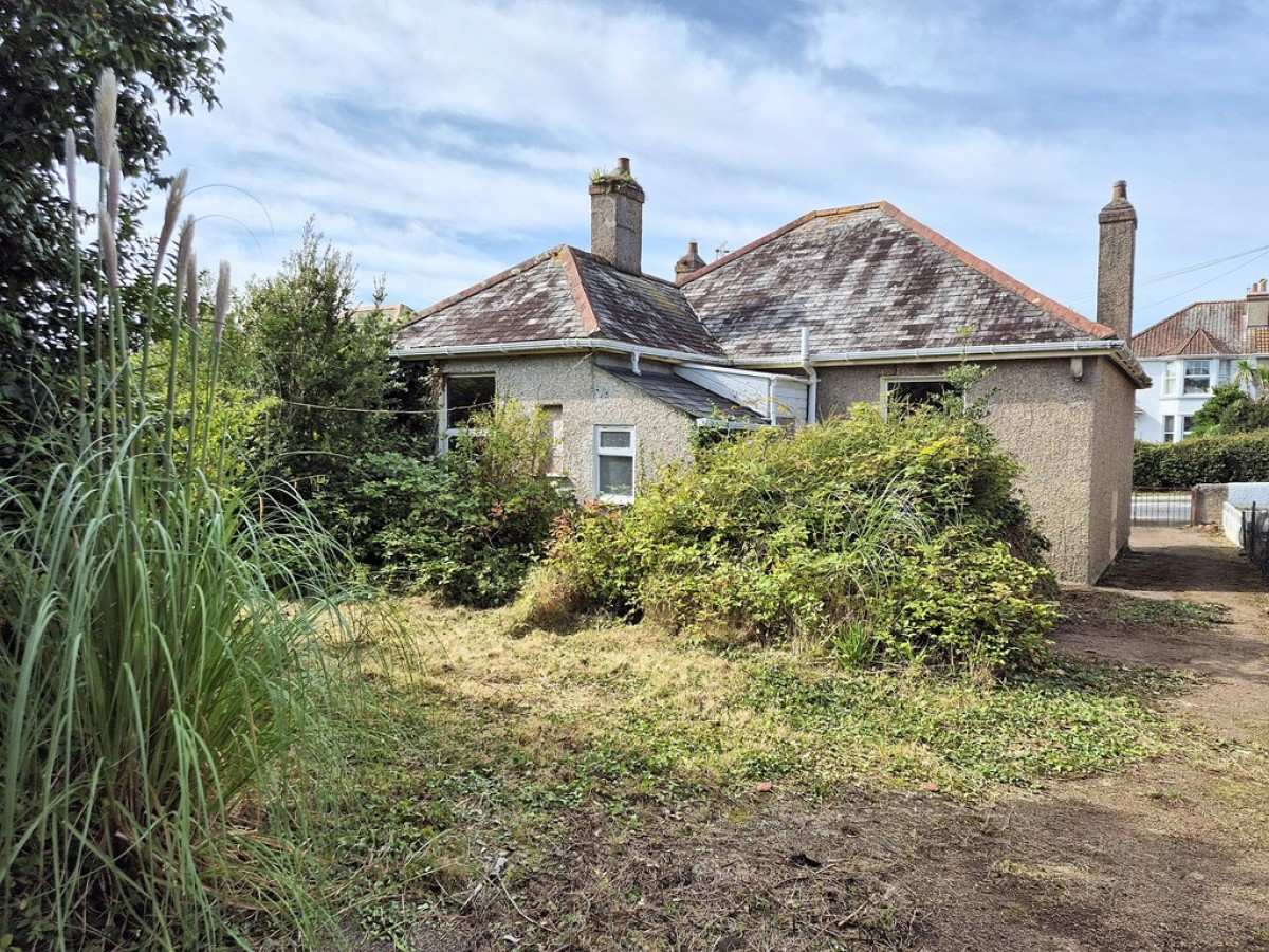 Dracaena Avenue, Falmouth
