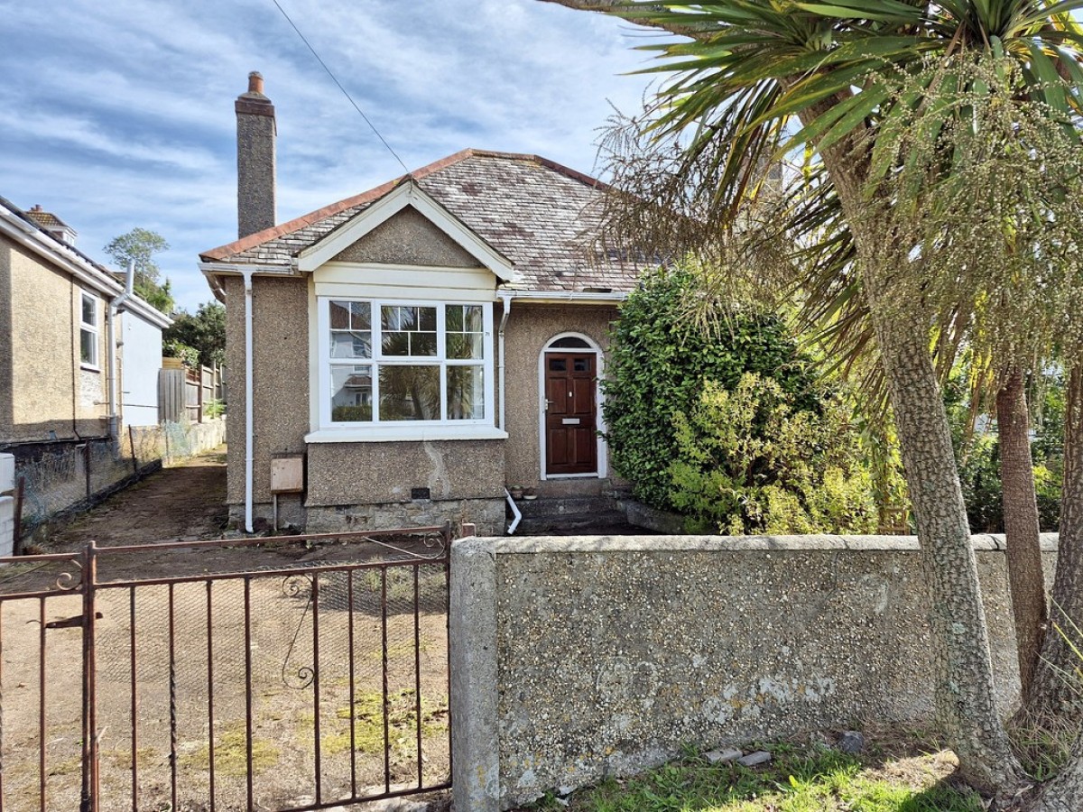 Dracaena Avenue, Falmouth