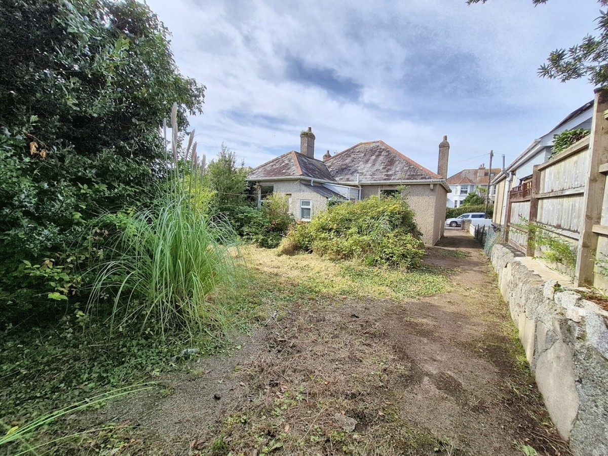 Dracaena Avenue, Falmouth