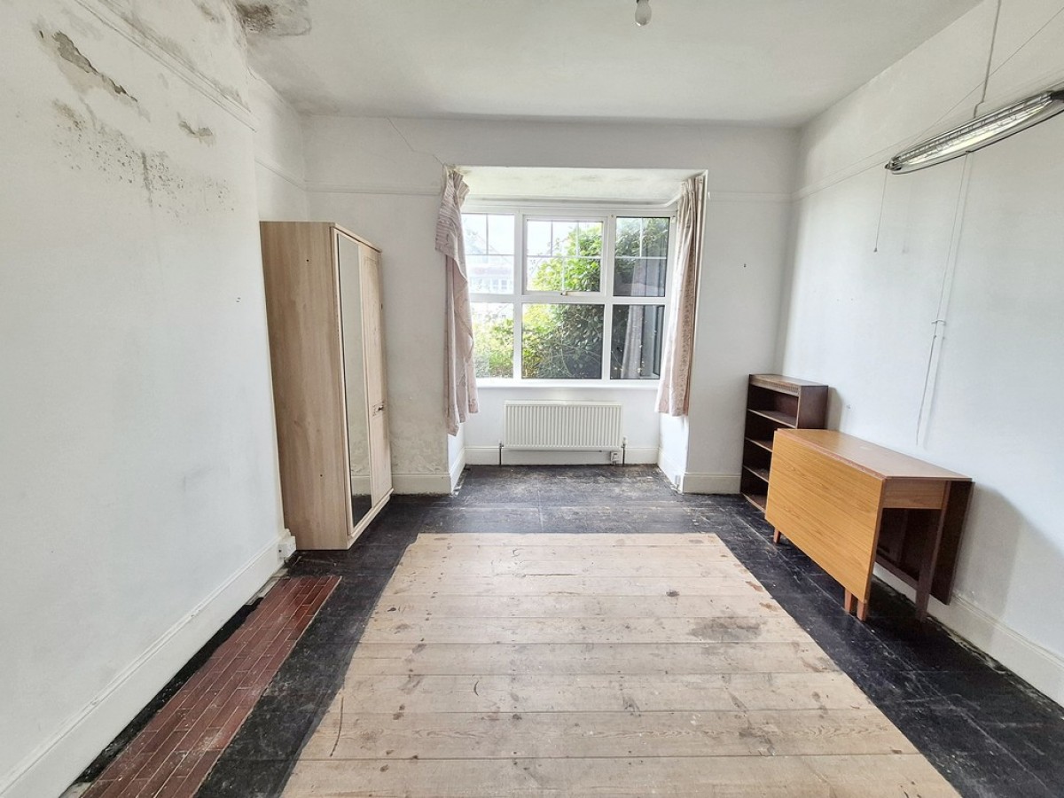 Dracaena Avenue, Falmouth