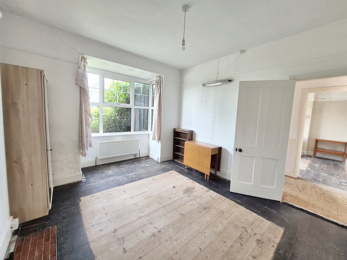 Dracaena Avenue, Falmouth