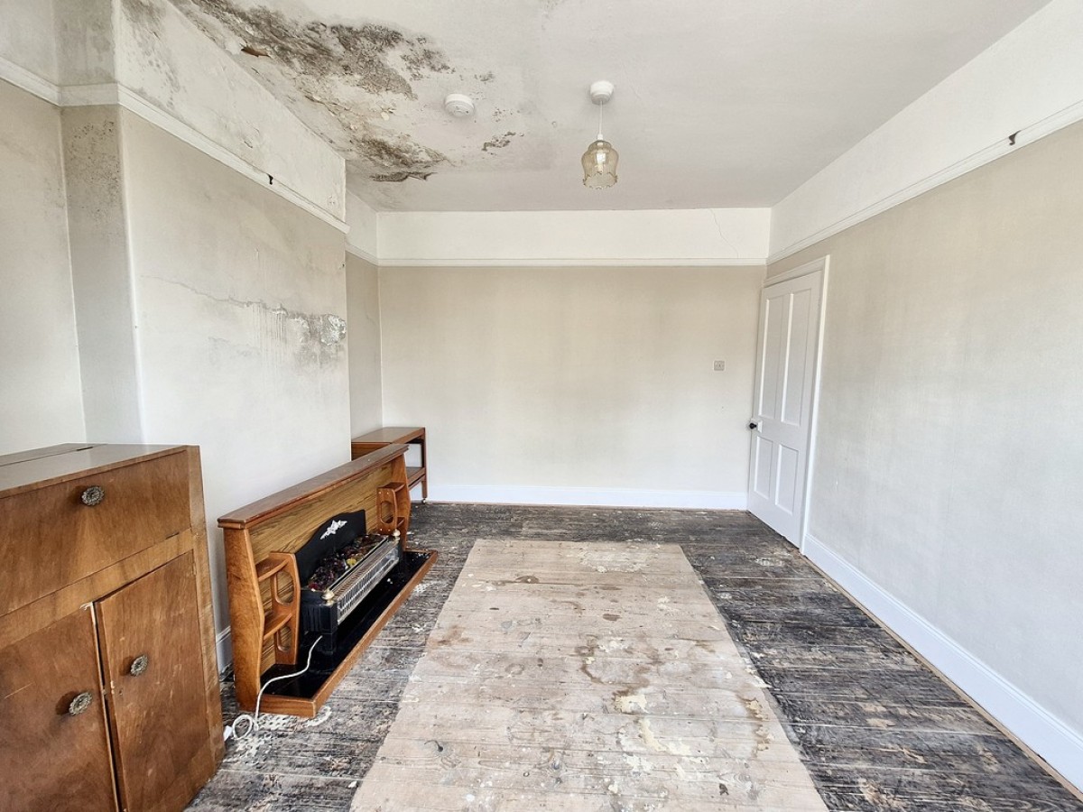 Dracaena Avenue, Falmouth