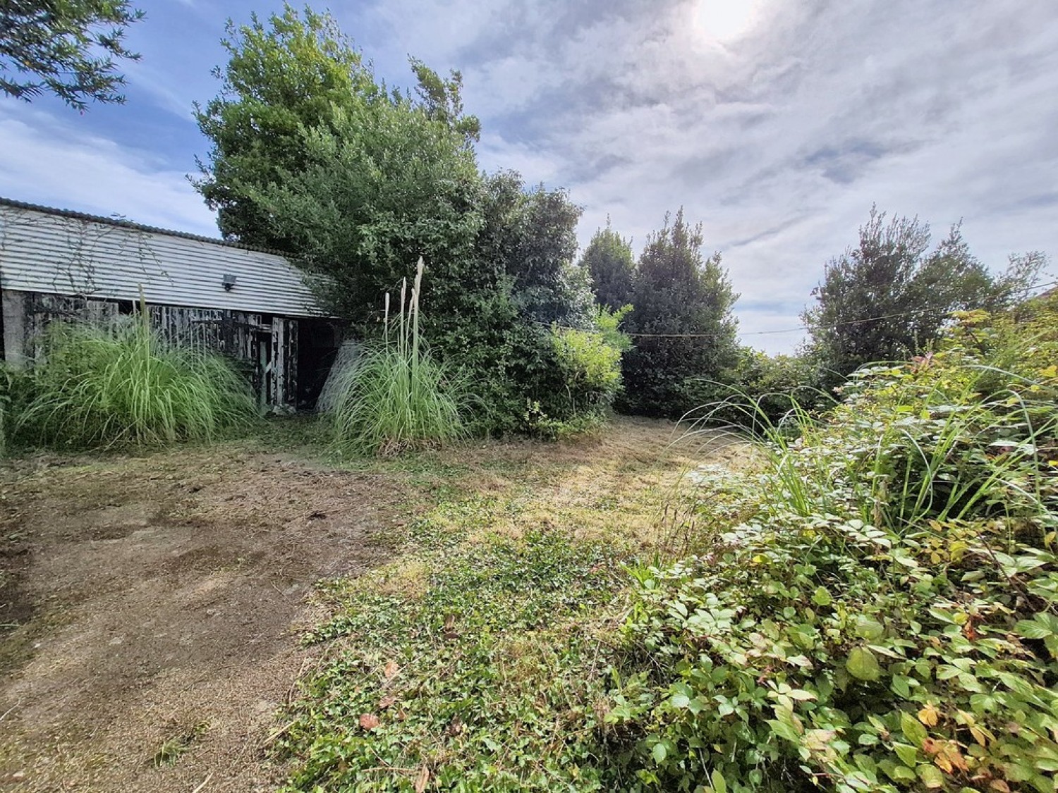 2 bedroom Bungalow for Sale Dracaena Avenue, Falmouth