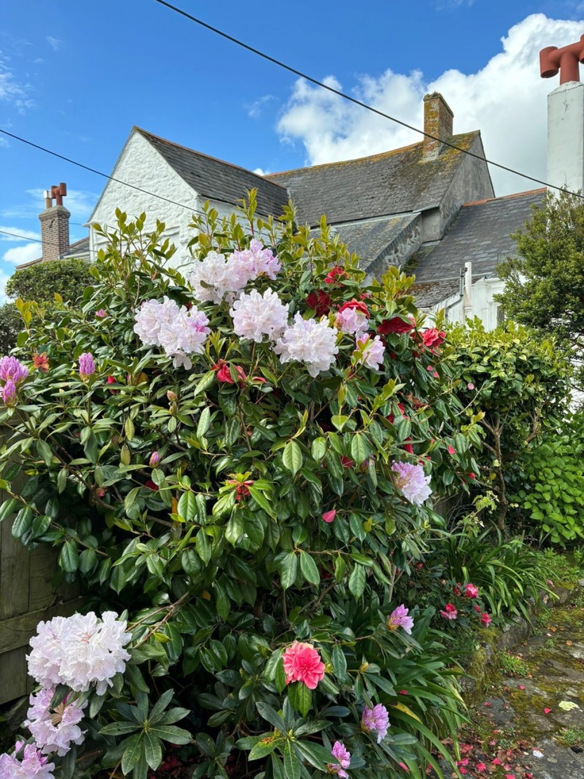 Trefusis Road, Flushing, Cornwall